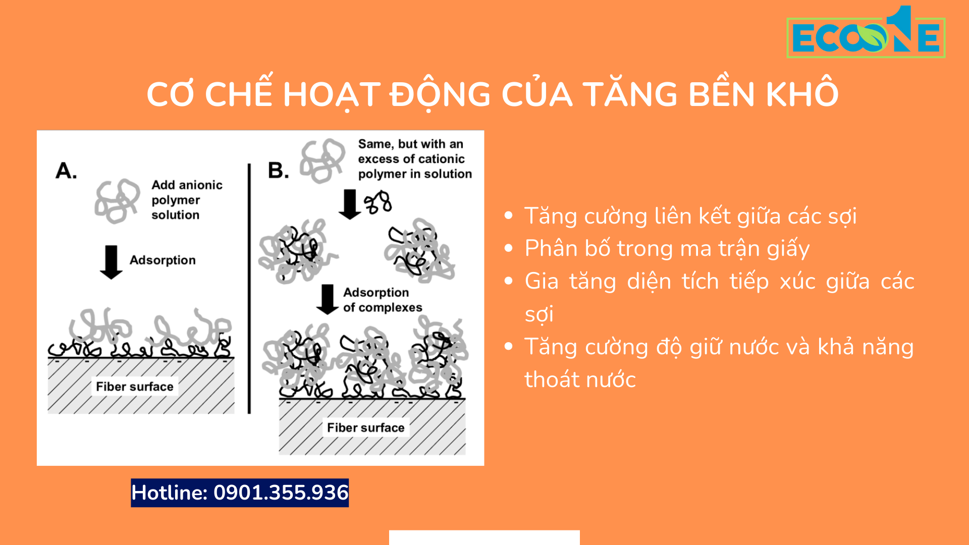 Cơ Chế Hoạt động Của Tăng Bền Khô