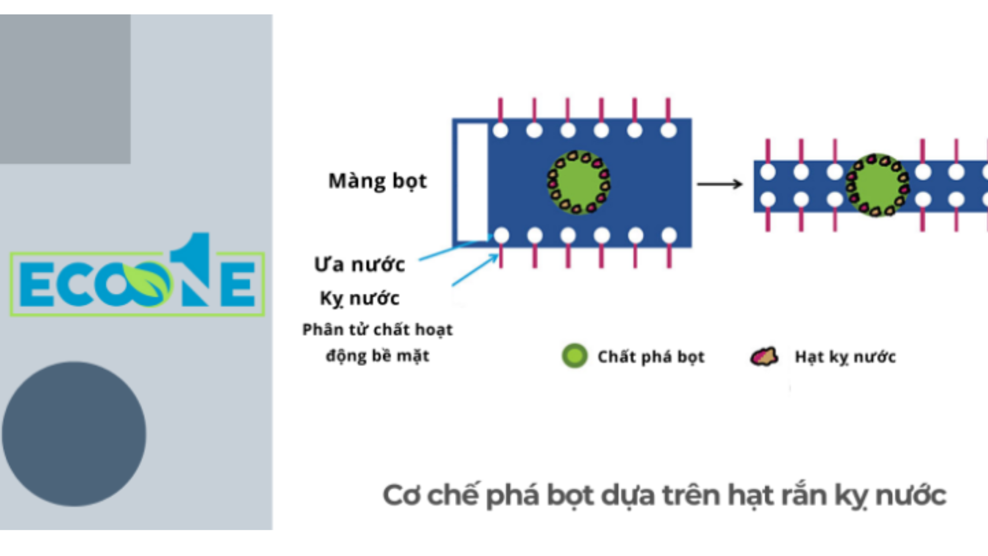 Cơ Chế Phá Bọt Dựa Trên Hạt Rắn Kỵ Nước