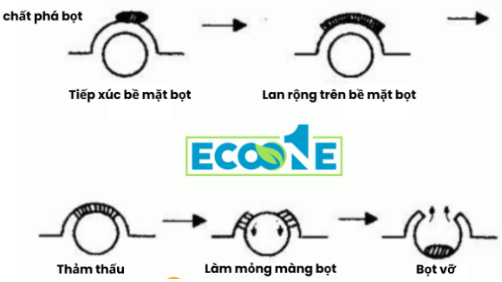 Nguyên Lý Hoạt động Của Chất Khử Bọt Có Liên Quan Chặt Chẽ đến Hoạt động Phân Tử Của Bề Mặt Chất Lỏng