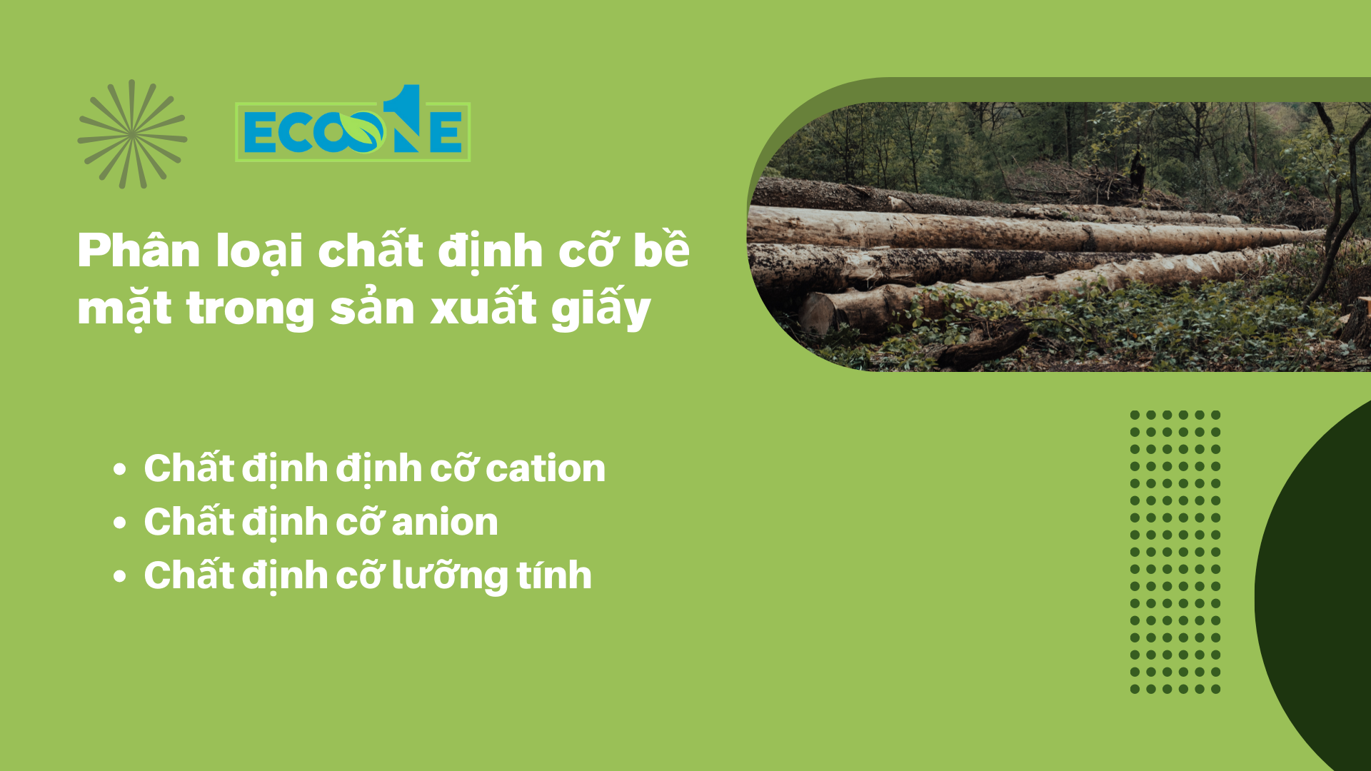 Phân Loại Chất định Cỡ Bề Mặt Trong Sản Xuất Giấy