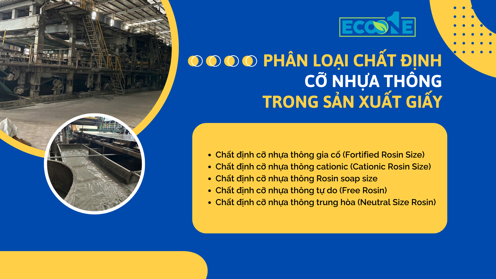 Phân Loại Chất định Cỡ Nhựa Thông Trong Sản Xuất Giấy
