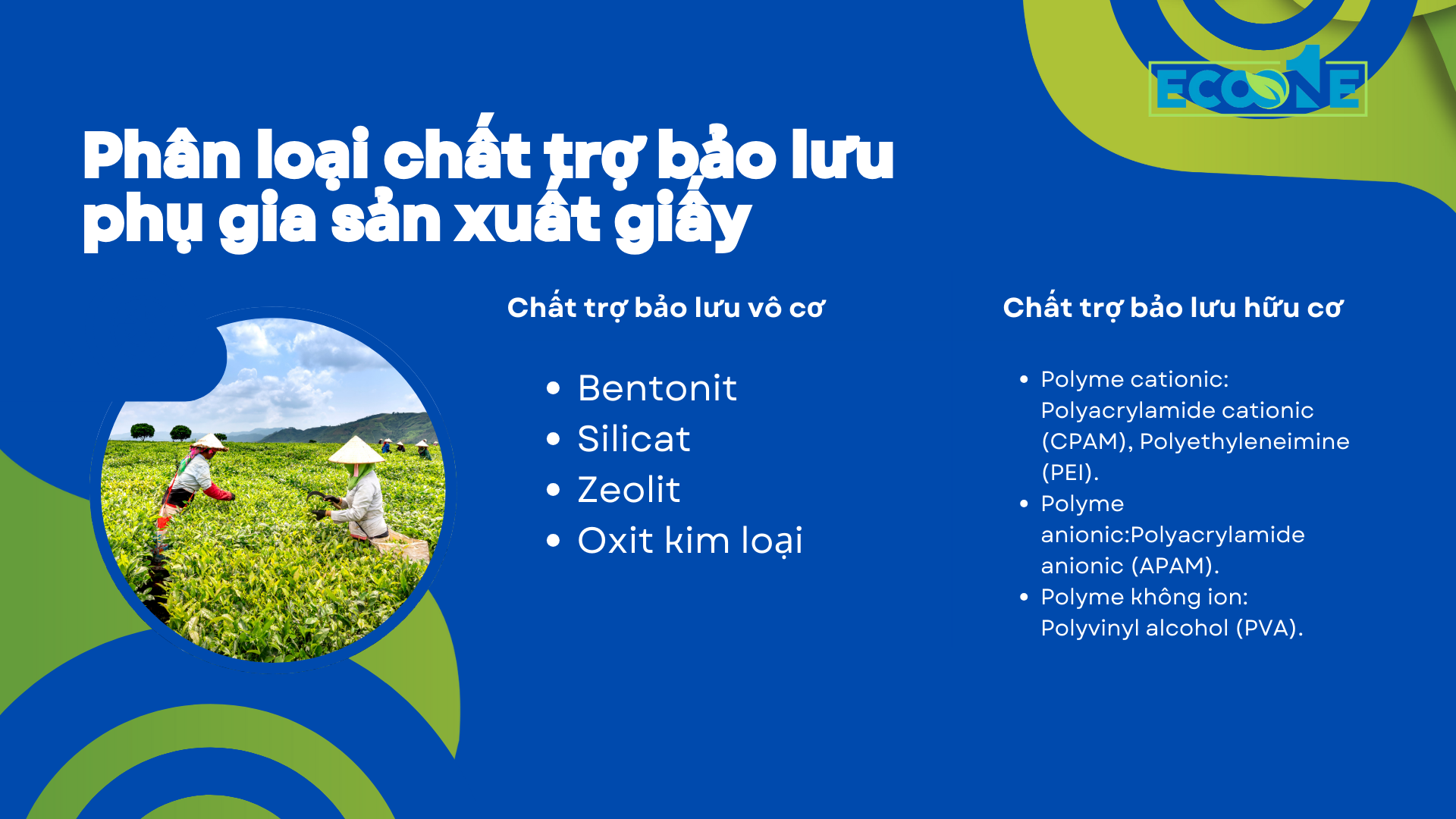 Phân Loại Chất Trợ Bảo Lưu Phụ Gia Sản Xuất Giấy