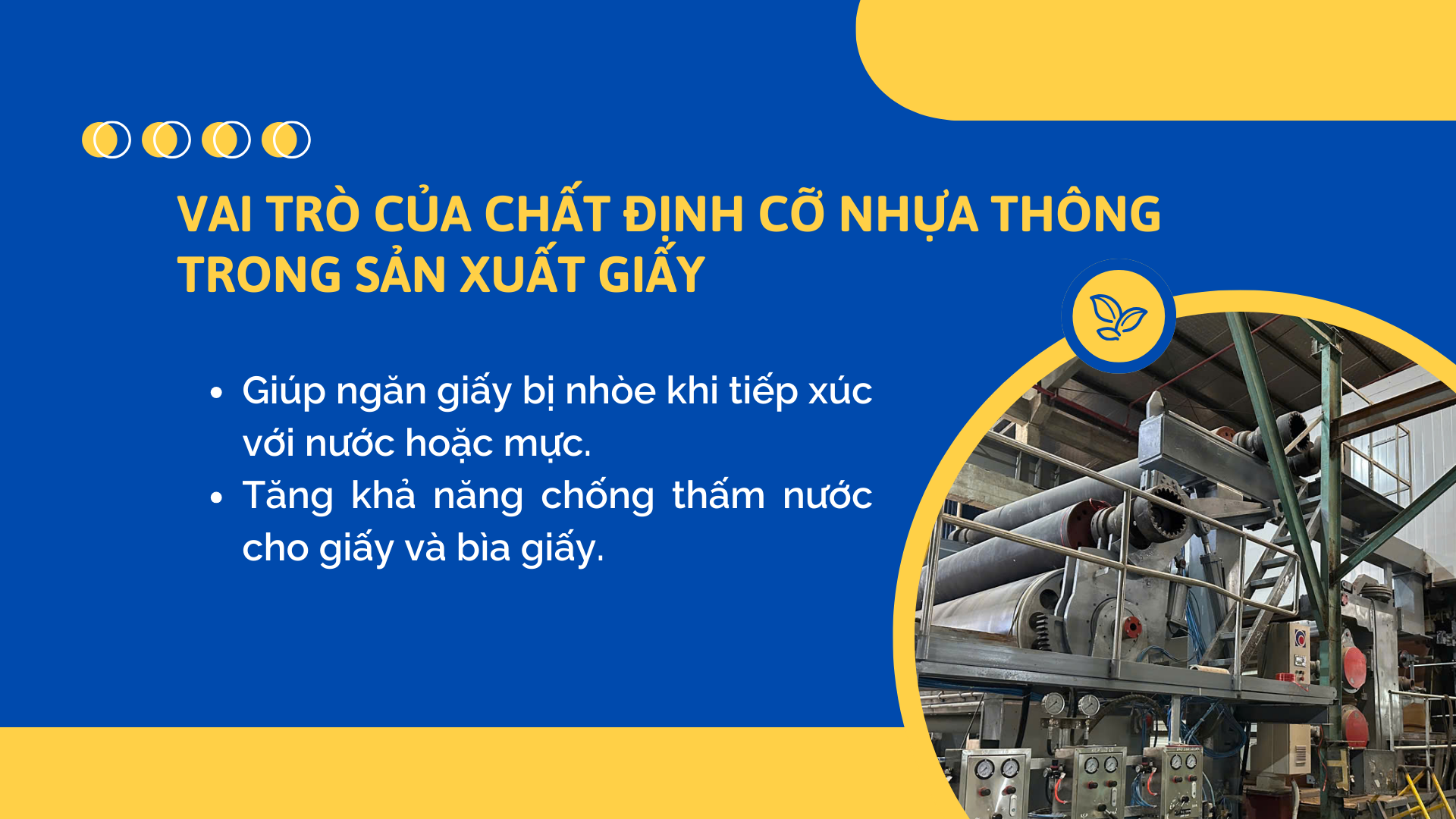 Vai Trò Của Chất định Cỡ Nhựa Thông Trong Sản Xuất Giấy