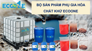 BỘ SẢn PhẨm PhỤ Gia HÓa ChẤt KhỬ Ecoone