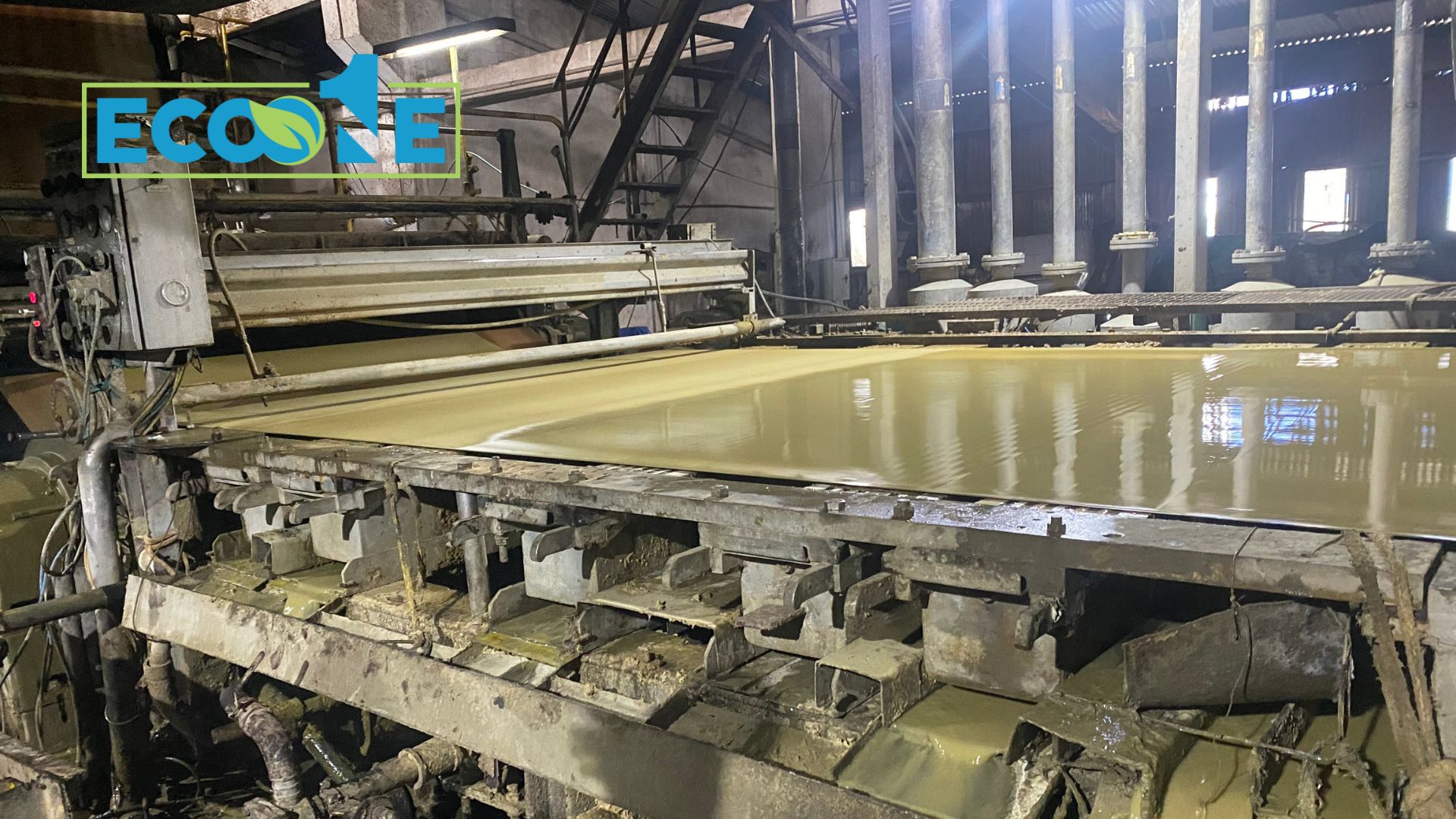 Hình ảnh Thực Tế Nhà Máy Eco One Việt Nam