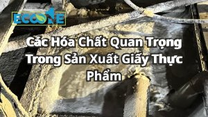 Các Hóa Chất Quan Trọng Trong Sản Xuất Giấy Thực Phẩm