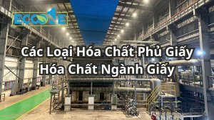 Các Loại Hóa Chất Phủ Giấy Hóa Chất Ngành Giấy