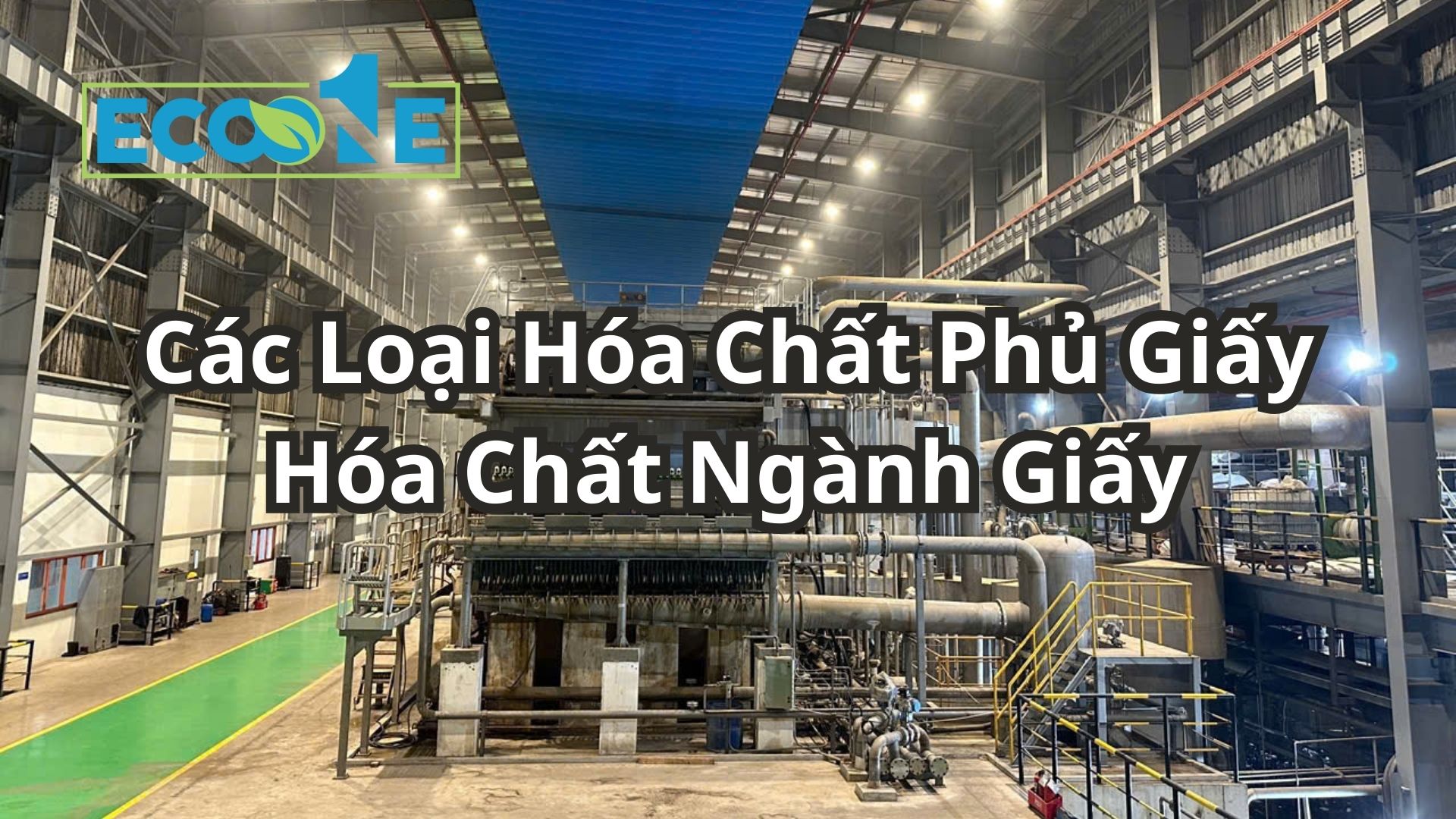 Các Loại Hóa Chất Phủ Giấy Hóa Chất Ngành Giấy