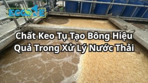 Chất Keo Tụ Tạo Bông Hiệu Quả Trong Xử Lý Nước Thải