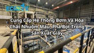 Cung Cấp Hệ Thống Bơm Và Hóa Chất Nhuộm Màu, Phá Bọt Trong Sản Xuất Giấy