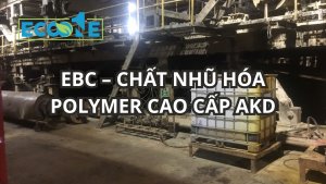 Ebc – ChẤt NhŨ HÓa Polymer Cao CẤp Akd
