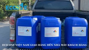 Eco One Việt Nam Giao Hàng đến Nhà Máy Khách Hàng