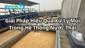 Giải Pháp Hiệu Quả Xử Lý Mùi Trong Hệ Thống Nước Thải