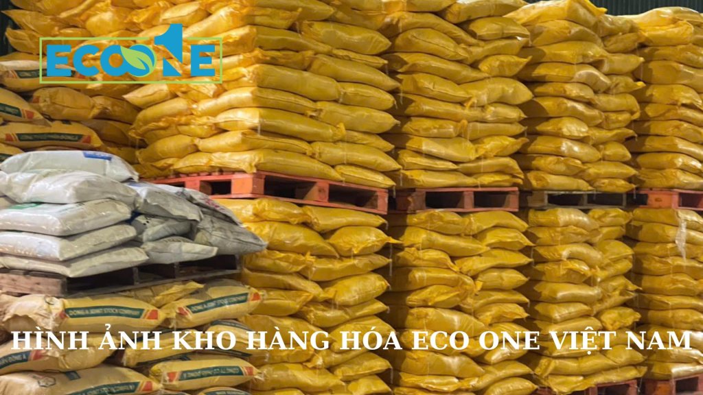 Hình Ảnh Kho Hàng Hóa Eco One Việt Nam