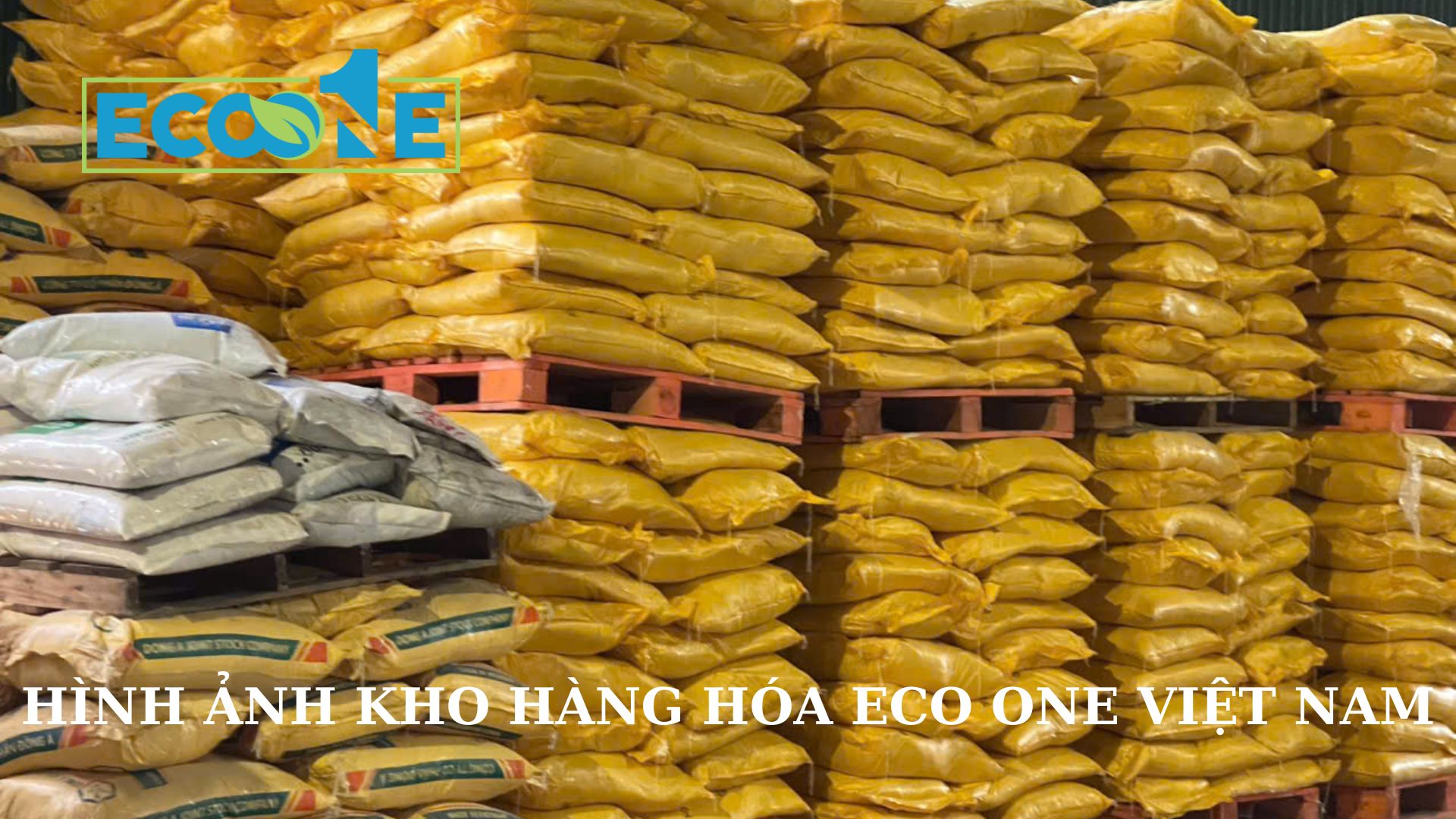 Hình Ảnh Kho Hàng Hóa Eco One Việt Nam