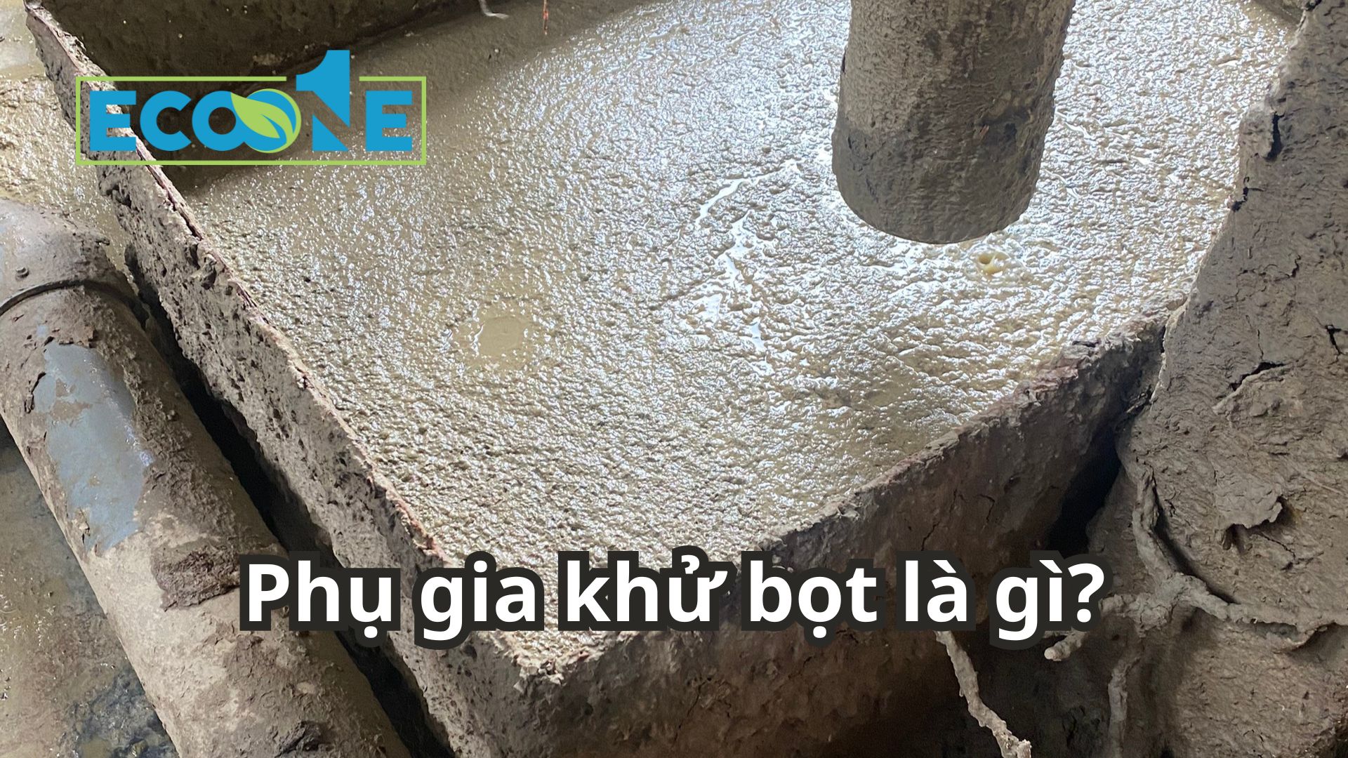 Phụ Gia Khử Bọt Là Gì