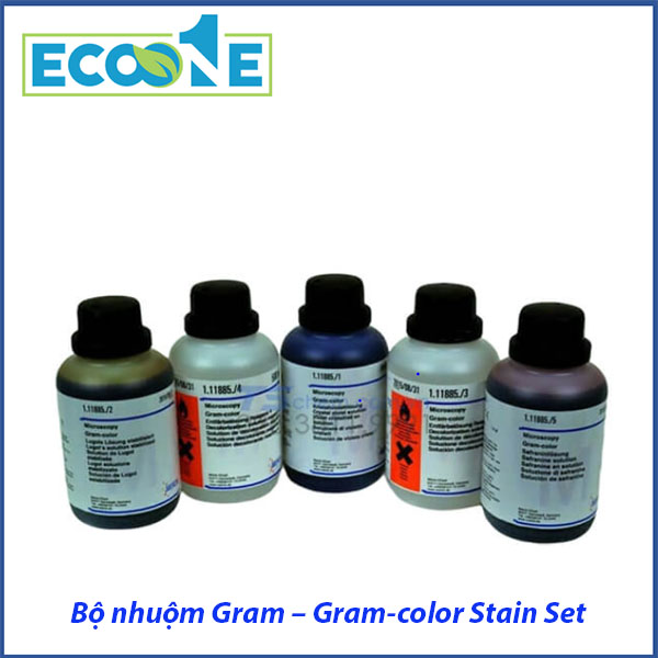Bộ Nhuộm Gram – Gram Color Stain Set dùng phân loại vi khuẩn theo phương pháp nhuộm Gram, đồng thời làm chỉ thị màu cho nồi hấp. Sản phẩm lý tưởng cho kỹ thuật viên vi sinh, phòng thí nghiệm, bệnh viện, nghiên cứu. Sản phẩm được phân phối bởi ECO ONE Việt Nam