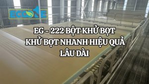 Eg 222 BỘt KhỬ BỌt – KhỬ BỌt Nhanh HiỆu QuẢ LÂu DÀi
