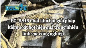 Eg 5815 Chất Khử Bọt Giải Pháp Kiểm Soát Bọt Hiệu Quả Trong Nhiều Lĩnh Vực Công Nghiệp