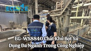 Eg Ws8840 Chất Khử Bọt Sử Dụng Đa Ngành Trong Công Nghiệp