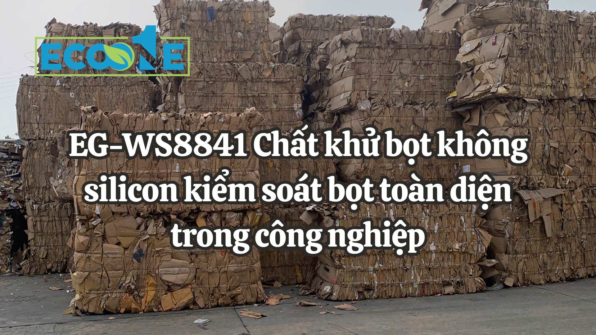 EG - WS8841 Chất Khử Bọt Không Silicon Kiểm Soát Bọt Toàn Diện Trong Công Nghiệp