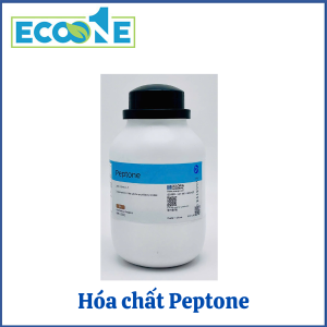 Peptone là hóa chất vi sinh dạng bột, dùng làm môi trường nuôi cấy trong phòng thí nghiệm, nguồn protein thủy phân giàu dinh dưỡng, ứng dụng rộng rãi trong nghiên cứu y sinh, vi sinh, kiểm nghiệm và công nghệ sinh học có giá từ 77,000 đến 130,000đ/chai 250g