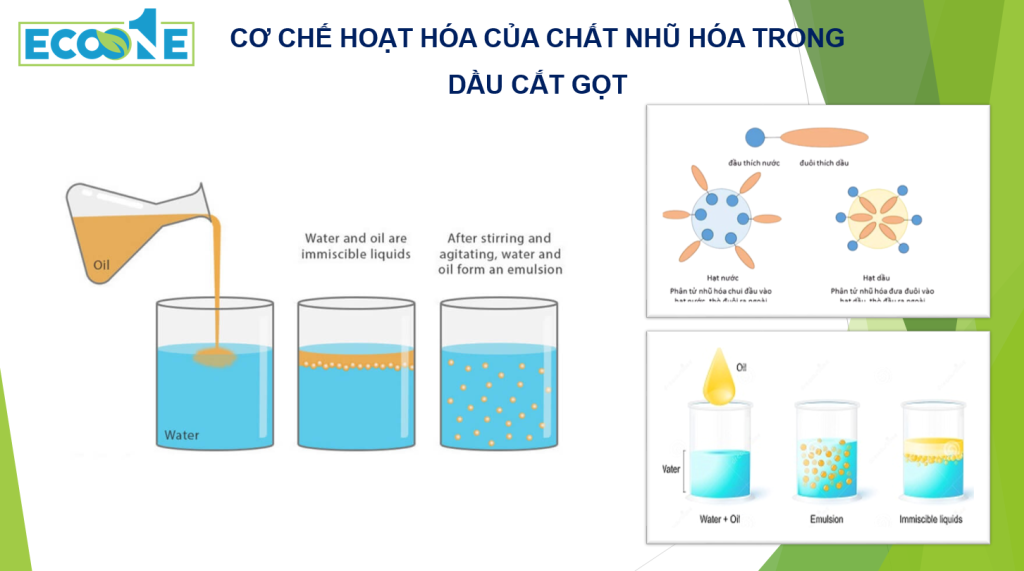 CƠ ChẾ HoẠt HÓa CỦa ChẤt NhŨ HÓa Trong DẦu CẮt GỌt