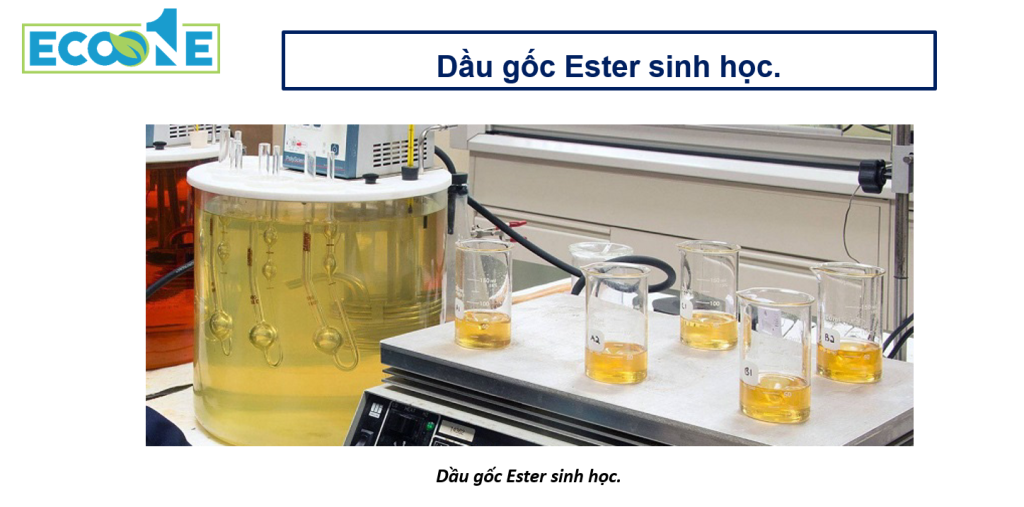 Dầu Gốc Ester Sinh Học