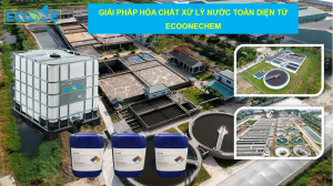GiẢi PhÁp HÓa ChẤt XỬ LÝ NƯỚc ToÀn DiỆn TỪ Ecoonechem