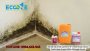 Chất Tẩy Rửa Có Tính Axit Ec Ky (p 500a) Mosaic Cleaner Chuyên Dụng Cho Gạch Khảm, Không Gây ăn Mòn