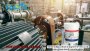 Dầu Bảo Vệ động Cơ Diesel Và Xăng Ec Ky (p 742) Cao Cấp được Sử Dụng Rộng Rãi Trong Công Nghiệp