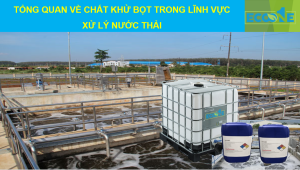 TỔng Quan VỀ ChẤt KhỬ BỌt Trong LĨnh VỰc XỬ LÝ NƯỚc ThẢi
