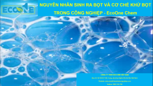 Nguyên Nhân Và Cơ Chế Khử Bọt