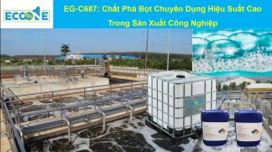 Eg C687 Tieu De